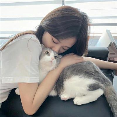 黑色蝴蝶
